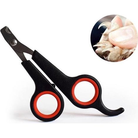 Ciseaux à ongles pour animaux - Coupe-griffes et coupe-ongles - Pour chiens, chats, lapins, cochons d'Inde et oiseaux - Outil de toilettage précis (1/5)