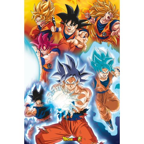 Poster Dragon Ball Super Gokus transformations 61x91.5cm.
