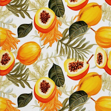 Tela decorativa para exteriores Oxford - Motivo frutal  DX6047 (1/5)