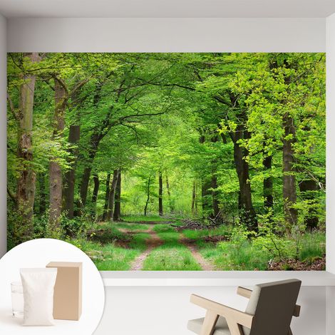 Tapete Vliestapete mit Kleber - abwaschbar - Tapete mit Motiv - trendige Wanddeko - elegant Fototapete Waldweg 152x104 cm (1/5)