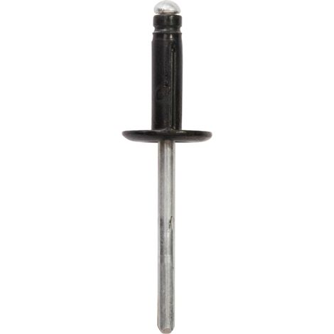 rivet expansé tête large noir ø 4,8 x 20,5 mm bouclier (1/2)