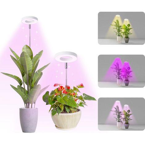 Projecteurs de culture Anneau Halo pour petites plantes d'intérieur, projecteur de plantes LED à spectre complet lumière Rouge + Bleu + Jaune, réglable en hauteur avec adaptateur 5V 2A (1/5)