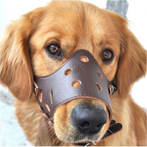 Anti-barking leather muzzle for large dogs – Size L for 20-37 kg – Circumference 23-26 cm – Comfort and safety guaranteed (1/5)