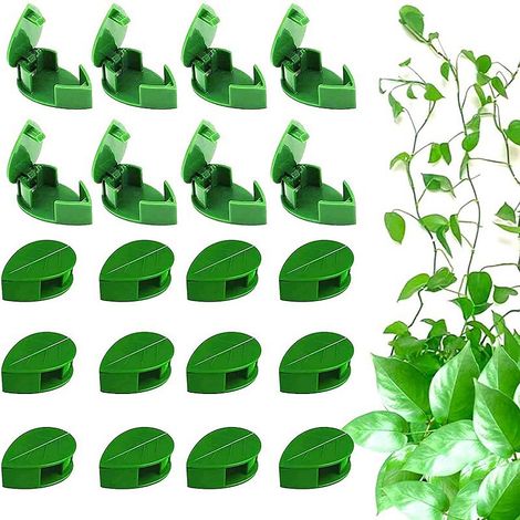 20 pinces pour plantes grimpantes, pinces de fixation murale, pinces de fixation pour plantes grimpantes à feuilles vertes (1/5)