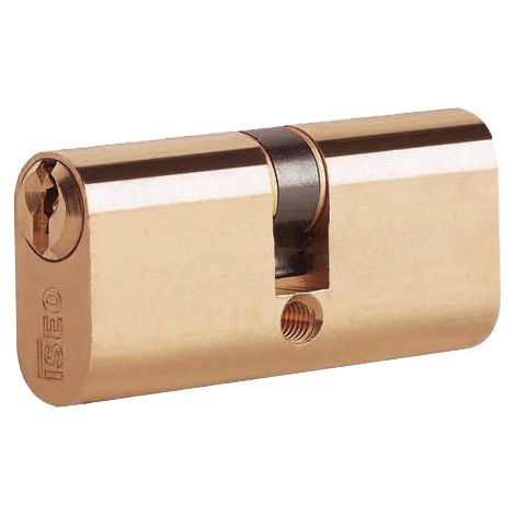 Cilindro ovalado ISEO 83003030H – 60 mm (30+30) – latón con 5 pernos – para cerraduras perfiladas