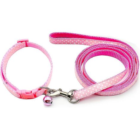 Ensemble collier et laisse pour animaux de compagnie, laisse pour chien miniature et promenade en extérieur-Powder