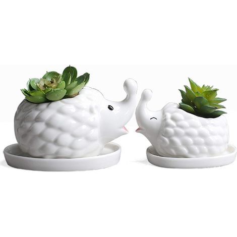 AIDUCHO Pot De Fleurs En Céramique Blanc Pour Plantes Succulentes En Forme De Hérisson, Pot De Fleurs, Pot Mignon Pour Cactus, Plantes Aériennes (1/5)