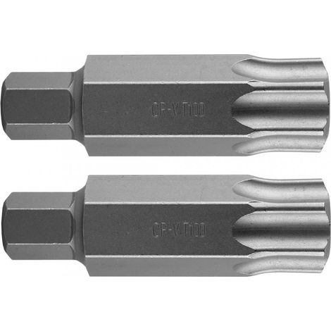 Punta Torx T100 x 75 mm, S2 x 2 unidades. (1/3)
