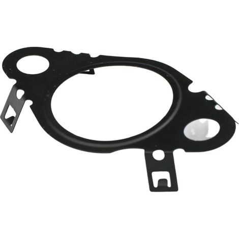 Guarnizione valvola EGR rapida FT50604 (1/2)