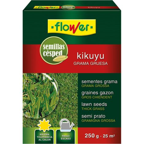 Flower SEMILLA KIKUYO (1/2)