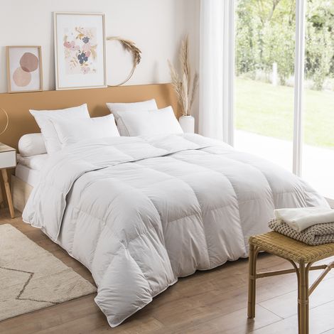 Couette Jade Chaude - 40% duvet - 240/260 - DUNLOPILLO (1/3)