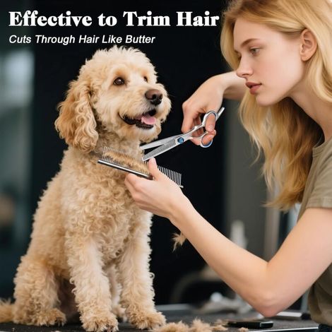 Ciseaux de toilettage pour chien Kit 4 pièces ciseaux droits courbes effiloir et peigne acier inoxydable pointes arrondies silencieux (1/4)