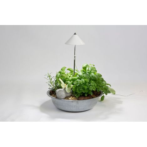 SUNLiTE 7W LED Pflanzenlampe Weiß innen, mit ausziehbarem Teleskopstab (1/2)