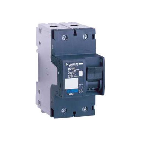 Interruttore magnetotermico NG125L 2P D 25A 50kA - 18842 (1/3)