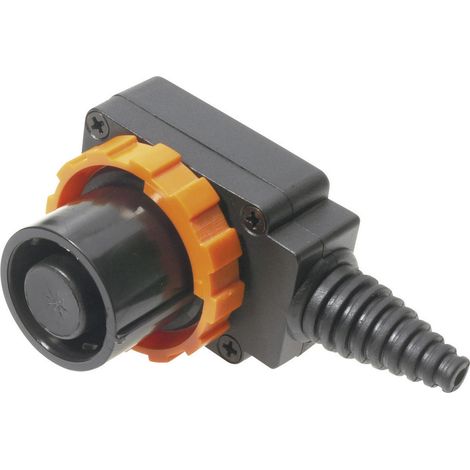 Cliff FCR2072 Netz-Steckverbinder FC Stecker, gewinkelt Gesamtpolzahl: 8 10 A Schwarz 1 St.
