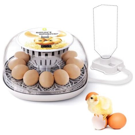 Incubateur Oeufs Couveuses Automatique 12 œufs Retournement Automatique, Contrôle De La Température Réglable avec LED Lumière D'oeuf Intégré pour Poulet, Canard, Oie, Pigeon (12 œufs)
