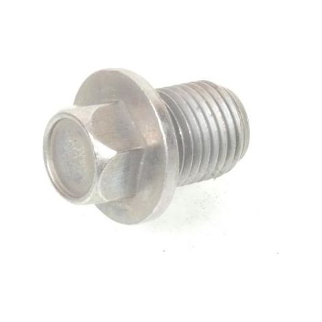 Ölablassschraube M14x1.5 für Motorrad Triumph 865 Bonneville (1/5)