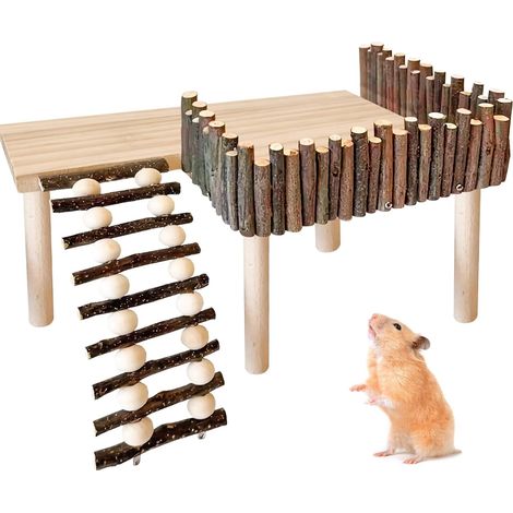 Plateforme en Bois pour Hamster - Cadre d'Escalade avec Échelle (1/5)