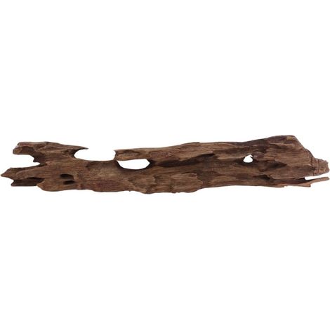 L Honey Comb Wurzel Nr.2030 Holz Deko Aquascaping