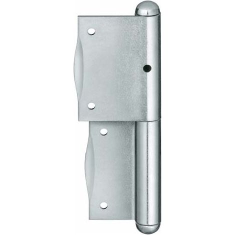 Bisagra Galv. C 2 100 mm rs (por 10)