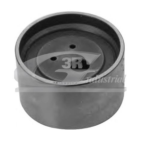 3RG 13809 RODILLO TENSOR