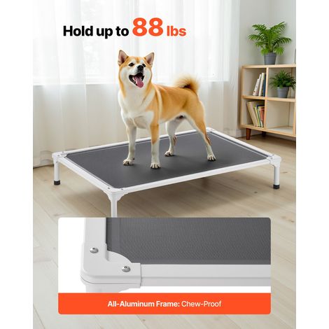 Lit Surélevé pour Chiens Chats Lit de Camp pour Animaux de (1/5)