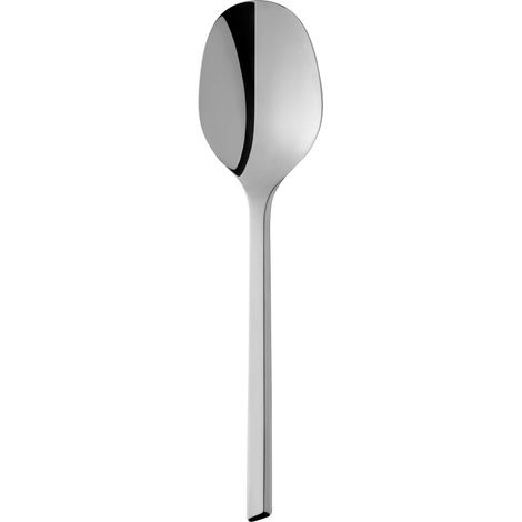 cuillère de service 25 cm, couverts de service, en acier inoxydable poli, résistant aux rayures, va au lave-vaisselle (1/5)