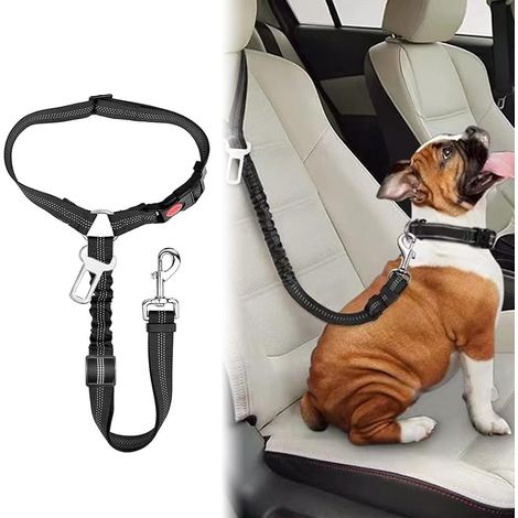 Ceinture Chien Voiture,Harnais Voiture Chien Réglable,Ceinture de Sécurité pour Chien,Harnais Voiture pour Chiens,Réglable en Ceinture Chien Absorbe Les Chocs élastique,Harnais Universel (1/5)