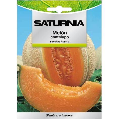 Semillas Melon Cantalupo (3 gramos) Semillas Frutas, Horticultura, Horticola, Semillas Huerto.