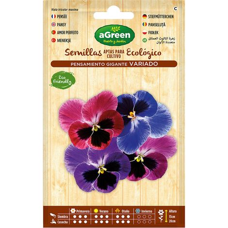 Enveloppe avec graines de pensée géante Agreen (1/3)