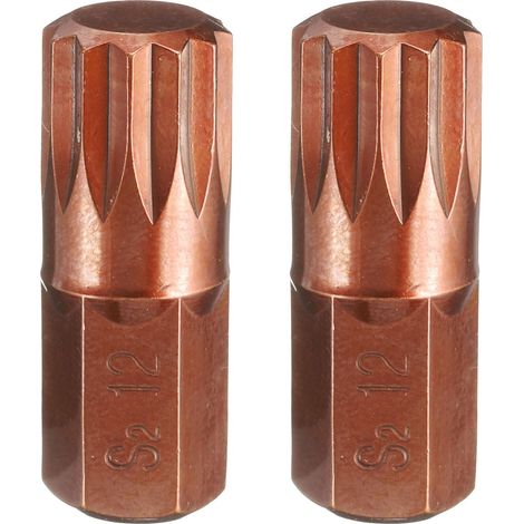 2Pcs M12 Embout de Tournevis Torx 10mm Tige Hexagonale 30mm Longueur Acier S2 Embouts de Tournevis Hexagonaux à 12 Pans Inviolables de Sécurité (1/5)