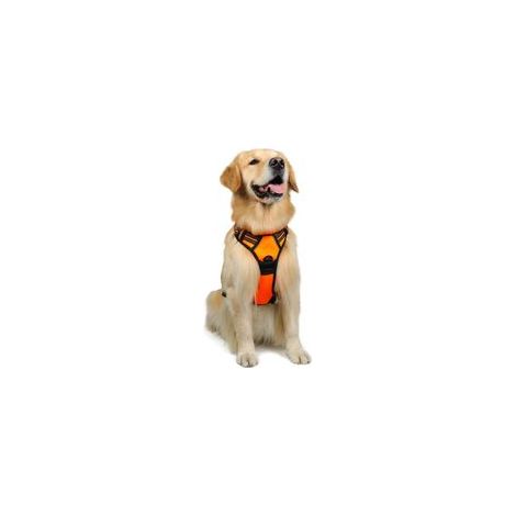 Harnais chien anti-traction orange L, gilet réfléchissant réglable, attache devant, pour chien grand taille, American Staff, Border Collie, randonnée, voiture –