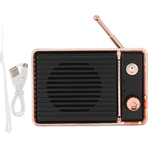 Mini-Bluetooth-Lautsprecher im Vintage-Stil, tragbar, robust und hübsch – ideal für Reisen und Outdoor-Aktivitäten – Schwarz