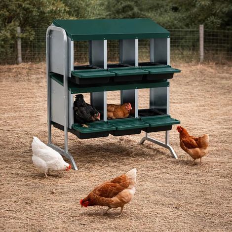 Pondoir poule pro vertical galvanisé 6 nids (1/5)