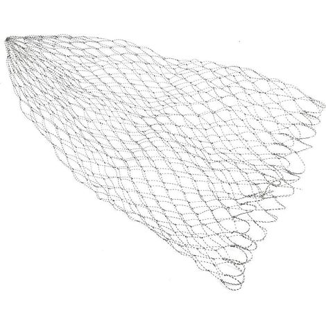 Épuisette, Filet de pêche en diamètre Carpe Basse pêche à la Mouche Filet d'atterrissage de Remplacement(50CM) (1/5)