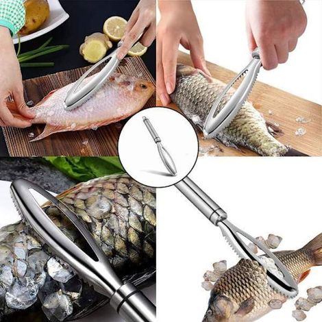 Professional Fish Scaler - 304 Stainless Steel, Easy Tool for Removing Scales in the Kitchen - AquaForge (1/5)