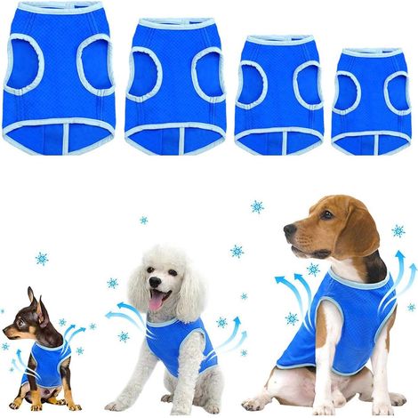 Gilet rafraîchissant pour chiens, pour chiens de petite, moyenne et grande taille, respirant, idéal pour se détendre, veste fraîche et légère pour l'été, douce et anti-chaleur, parfaite pour les prome (1/5)