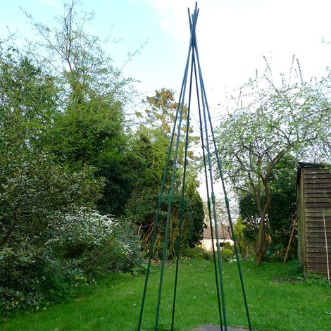 Bean & Pea Wigwam