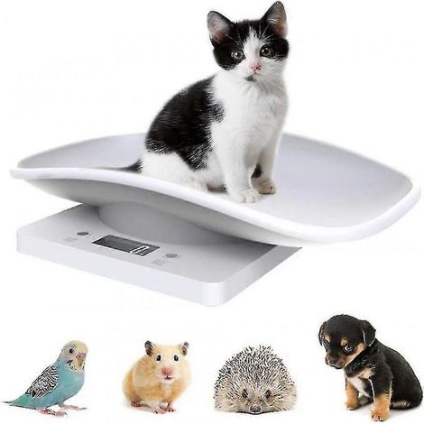 Balance électronique numérique pour animaux de compagnie, balance de cuisine avec écran LCD, 10 kg / 2 (1/4)