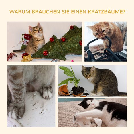 Griffes arbre chat plafond 240-260 cm, arbre à chat avec balles en peluche, grotte, hamac, poteaux sisal, plateformes, tour à chat multi-étages pour grands chats, gris foncé (1/5)