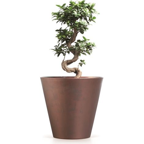 Blumentopf Tubus Corten DTUB200C, Prosperplast Cortenstahl