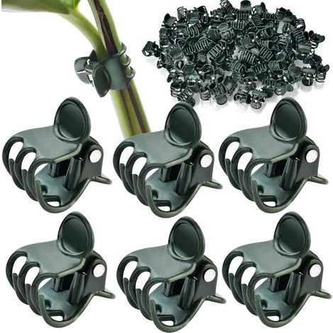 Lot de 200 pinces à orchidées, réutilisables, pour plantes d'orchidées, vert foncé, pour soutenir et maintenir les plantes de jardin, fruits légumes (1/5)