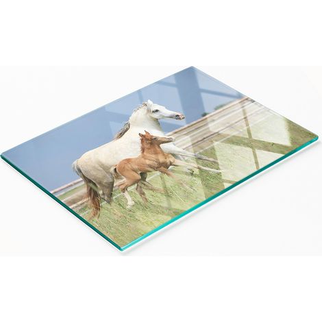 Tabla de cortar decorativa de cristal para cocina con diseño de yegua y potrillo, 80x52 cm. (1/5)