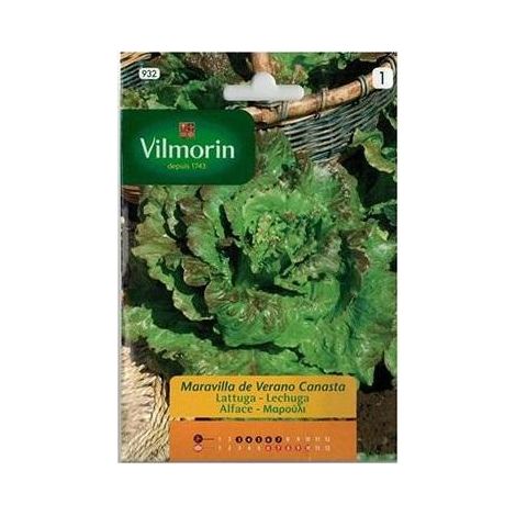 Graines de laitue t merveille Vilmorin 7g (1/2)