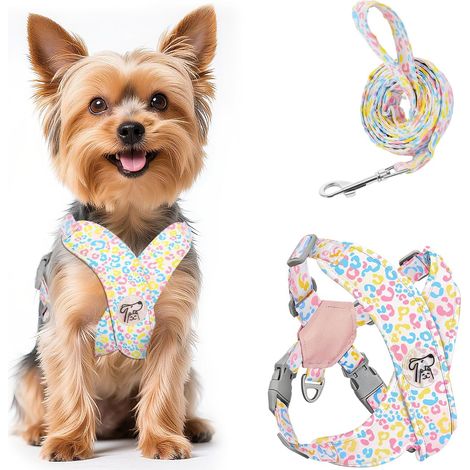 Harnais pour Chiens avec Laisse, Harnais Sécurisé Anti-Traction (1/5)