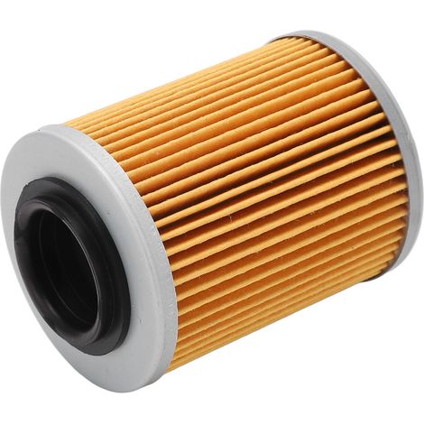 Zylindrischer Ölfilter und Ersatzkraftstofffilter für RYKER Ally Edition 900 ACE, Motoraustauschsatz, Ölpatrone, Erstausrüsterqualität. (1/5)