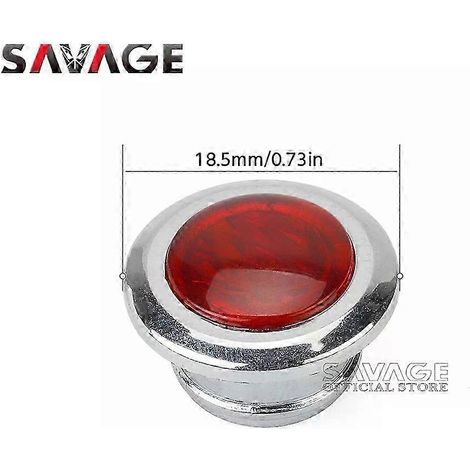 Passende Blinker-, Fernlicht- und Leitlichtabdeckung für Yamaha XJR 1200SP, 1300SP, 300, 400, 400R (Motorradteile XJR1300, XJR1200, XJR400, Edition 1028)