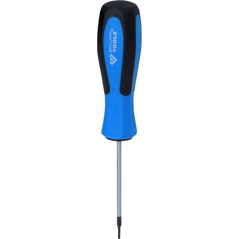 BRILLIANT TOOLS Tournevis fente 2,0 x 63 mm - BT031052 (1/5)