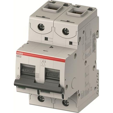 DISJ. 2P S802S UCB 16A 2CCS862001R1165 ABB 743238