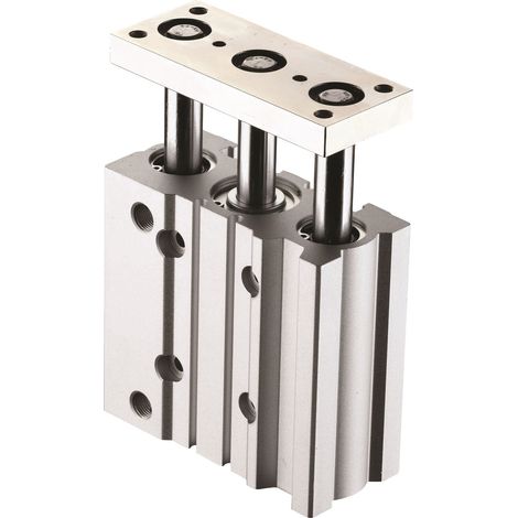 Vérin guidé pneumatique RS PRO SGM, course 50mm, Ø du piston 50mm, action Double ( Prix pour 1 )
